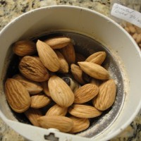 Sprouted Almond Flour