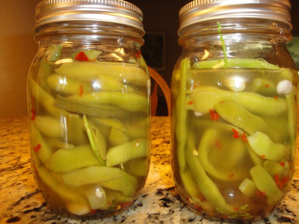 Probiotic Lacto-fermented Fresh Green Beans (6/6)
